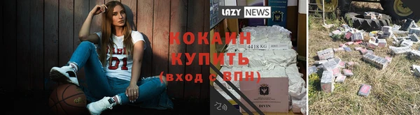 индика Балабаново