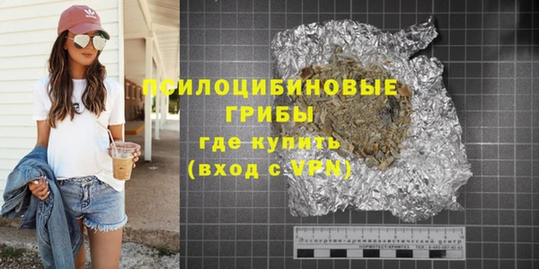 индика Балабаново