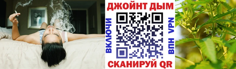 купить  сайты  Ногинск  Бошки марихуана гибрид 